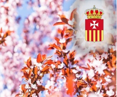 Pranzo di Primavera – 31 marzo 2019